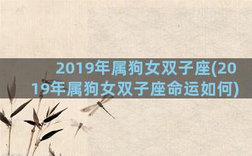 2019年属狗女双子座(2019年属狗女双子座命运如何)