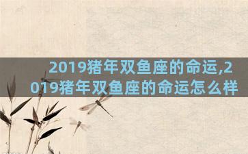 2019猪年双鱼座的命运,2019猪年双鱼座的命运怎么样