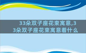 33朵双子座花束寓意,33朵双子座花束寓意着什么