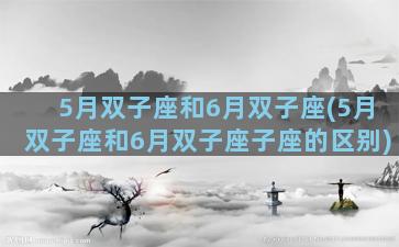 5月双子座和6月双子座(5月双子座和6月双子座子座的区别)