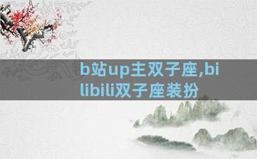 b站up主双子座,bilibili双子座装扮