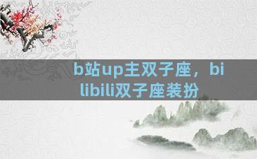 b站up主双子座，bilibili双子座装扮