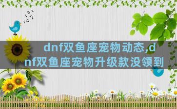 dnf双鱼座宠物动态,dnf双鱼座宠物升级款没领到