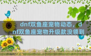 dnf双鱼座宠物动态，dnf双鱼座宠物升级款没领到