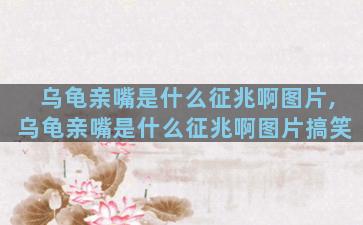 乌龟亲嘴是什么征兆啊图片,乌龟亲嘴是什么征兆啊图片搞笑