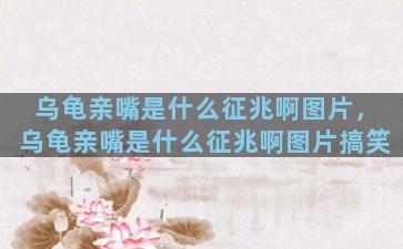 乌龟亲嘴是什么征兆啊图片，乌龟亲嘴是什么征兆啊图片搞笑