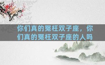 你们真的冤枉双子座，你们真的冤枉双子座的人吗