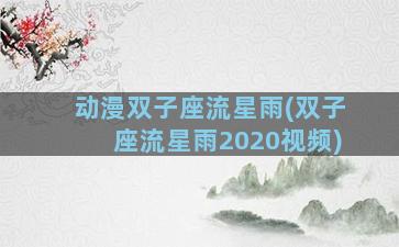 动漫双子座流星雨(双子座流星雨2020视频)