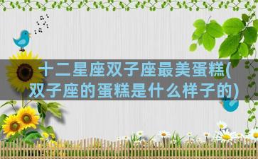 十二星座双子座最美蛋糕(双子座的蛋糕是什么样子的)
