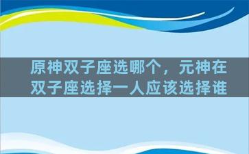 原神双子座选哪个，元神在双子座选择一人应该选择谁