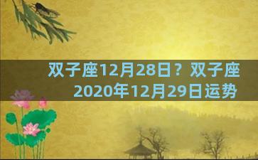 双子座12月28日？双子座2020年12月29日运势