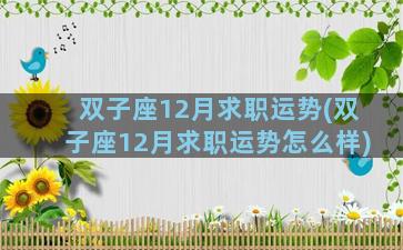 双子座12月求职运势(双子座12月求职运势怎么样)