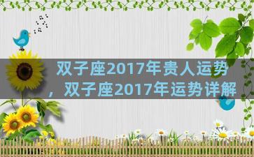双子座2017年贵人运势，双子座2017年运势详解