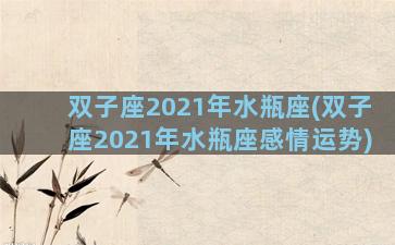 双子座2021年水瓶座(双子座2021年水瓶座感情运势)