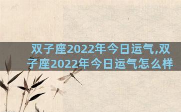 双子座2022年今日运气,双子座2022年今日运气怎么样