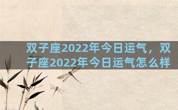双子座2022年今日运气，双子座2022年今日运气怎么样