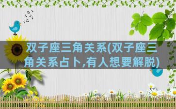 双子座三角关系(双子座三角关系占卜,有人想要解脱)