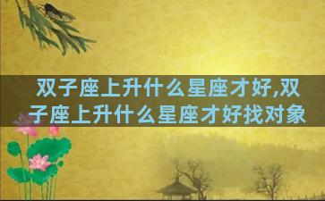双子座上升什么星座才好,双子座上升什么星座才好找对象