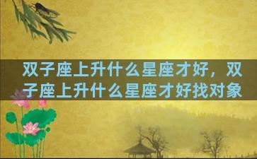 双子座上升什么星座才好，双子座上升什么星座才好找对象
