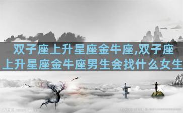 双子座上升星座金牛座,双子座上升星座金牛座男生会找什么女生
