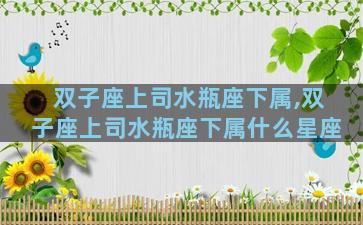 双子座上司水瓶座下属,双子座上司水瓶座下属什么星座