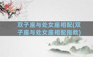 双子座与处女座相配(双子座与处女座相配指数)