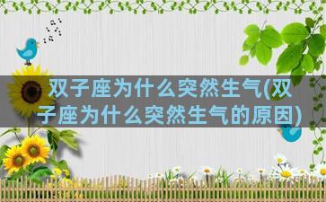 双子座为什么突然生气(双子座为什么突然生气的原因)