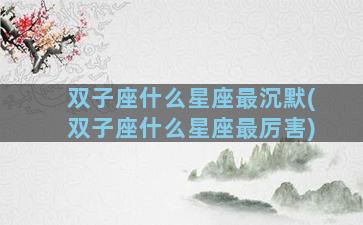 双子座什么星座最沉默(双子座什么星座最厉害)