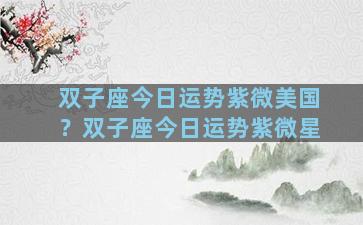 双子座今日运势紫微美国？双子座今日运势紫微星
