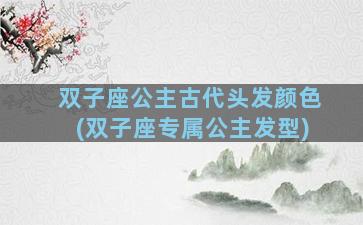 双子座公主古代头发颜色(双子座专属公主发型)