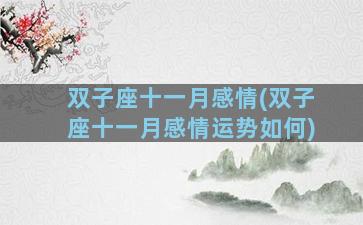 双子座十一月感情(双子座十一月感情运势如何)