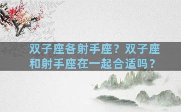 双子座各射手座？双子座和射手座在一起合适吗？