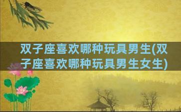 双子座喜欢哪种玩具男生(双子座喜欢哪种玩具男生女生)