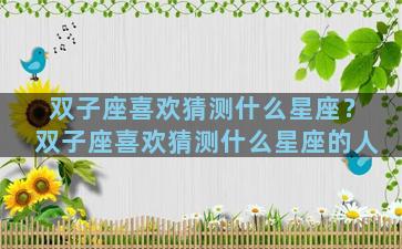 双子座喜欢猜测什么星座？双子座喜欢猜测什么星座的人