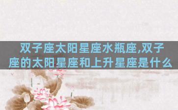双子座太阳星座水瓶座,双子座的太阳星座和上升星座是什么