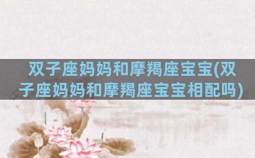 双子座妈妈和摩羯座宝宝(双子座妈妈和摩羯座宝宝相配吗)