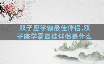 双子座学霸最佳伴侣,双子座学霸最佳伴侣是什么
