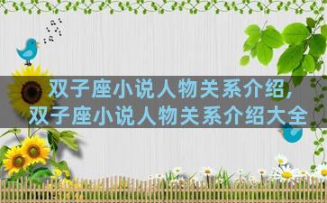 双子座小说人物关系介绍,双子座小说人物关系介绍大全