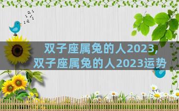 双子座属兔的人2023,双子座属兔的人2023运势