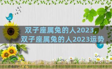 双子座属兔的人2023，双子座属兔的人2023运势