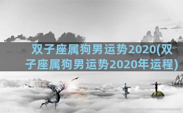 双子座属狗男运势2020(双子座属狗男运势2020年运程)