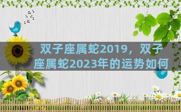 双子座属蛇2019，双子座属蛇2023年的运势如何