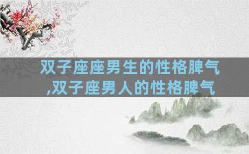 双子座座男生的性格脾气,双子座男人的性格脾气