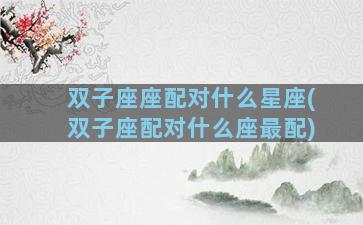 双子座座配对什么星座(双子座配对什么座最配)