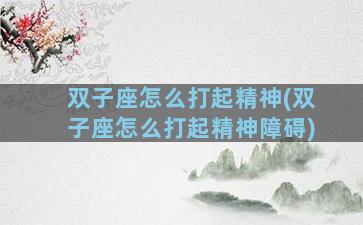 双子座怎么打起精神(双子座怎么打起精神障碍)