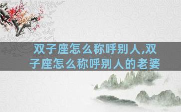 双子座怎么称呼别人,双子座怎么称呼别人的老婆