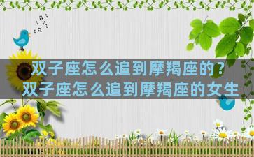双子座怎么追到摩羯座的？双子座怎么追到摩羯座的女生