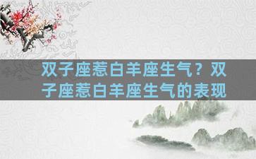 双子座惹白羊座生气？双子座惹白羊座生气的表现