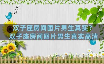 双子座房间图片男生真实？双子座房间图片男生真实高清