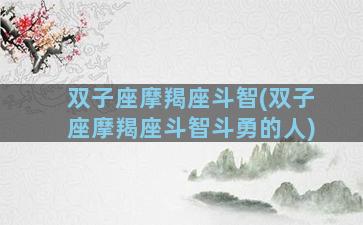 双子座摩羯座斗智(双子座摩羯座斗智斗勇的人)